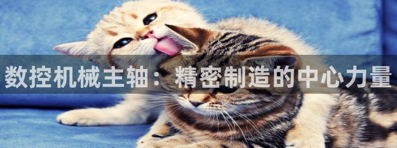 天辰娱乐主页