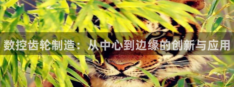 天辰娱乐官方登录入口