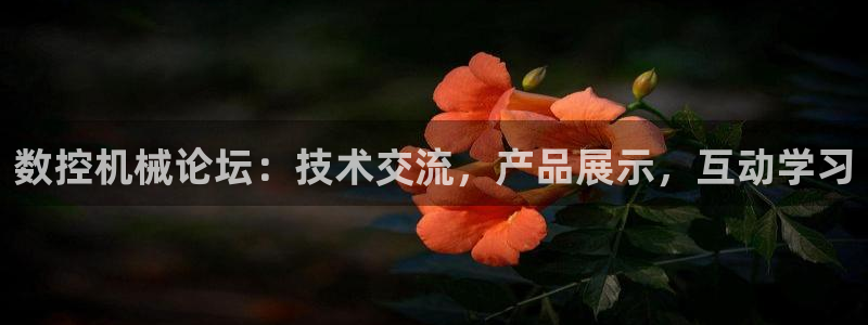 天辰娱乐登录网址