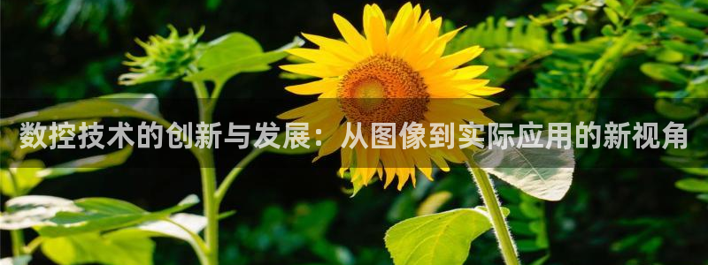 娱乐ktv天辰