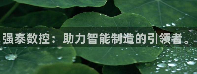天辰娱乐官方登录下载