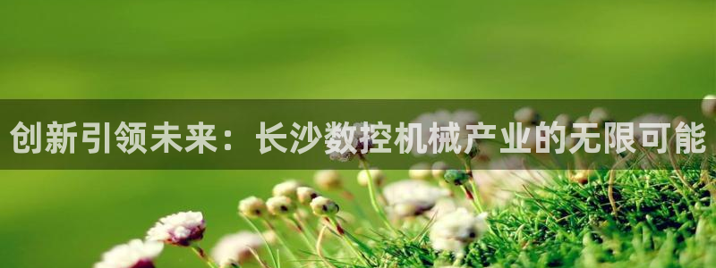 天辰娱乐平台地址