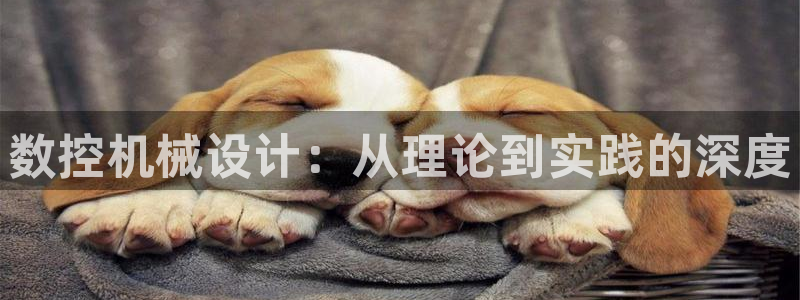 天辰娱乐会所