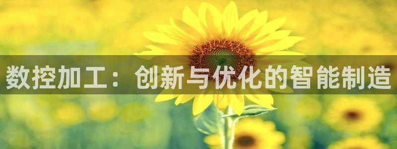 天辰彩票娱乐