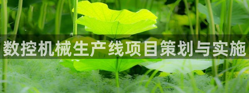天辰娱乐官方登录入口