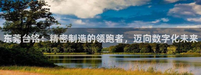 nba天辰娱乐
