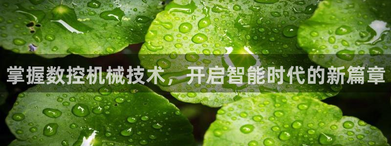nba天辰娱乐