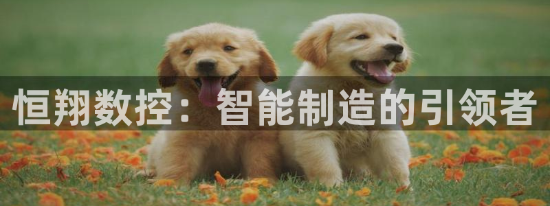 天辰娱乐鱼刺