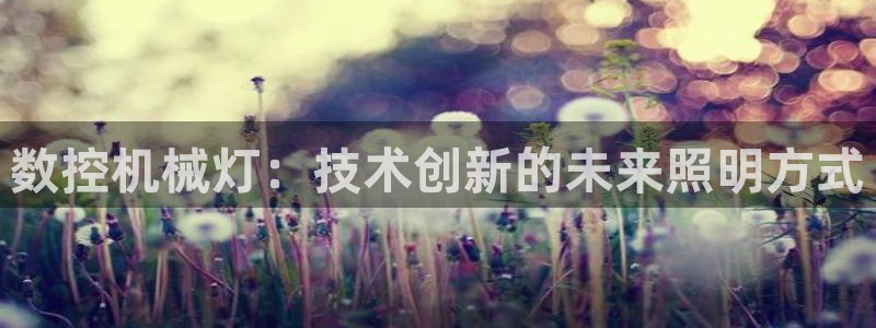 天辰臣娱乐