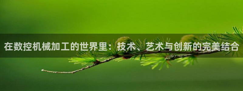 天辰娱乐_675138