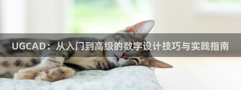 天辰娱乐44616