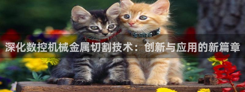 天辰娱乐怎么样