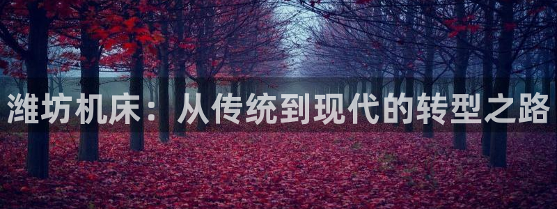 天辰娱乐台湾