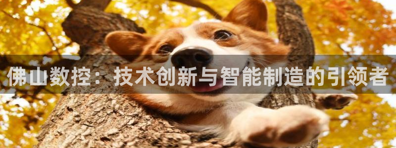天辰 娱乐 注册