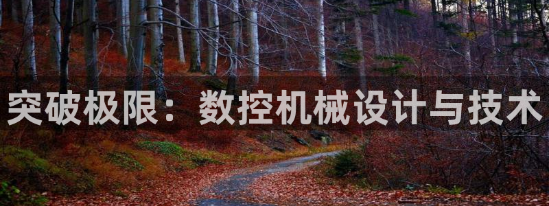 天辰娱乐内部