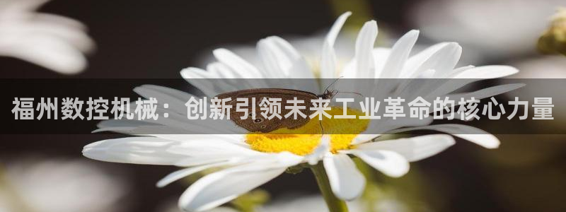天辰娱乐 231639