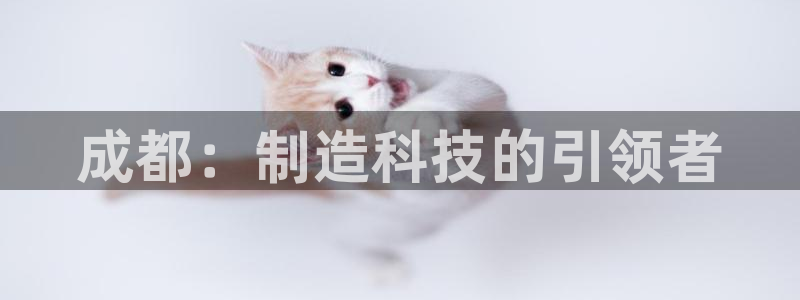 天辰娱乐客服