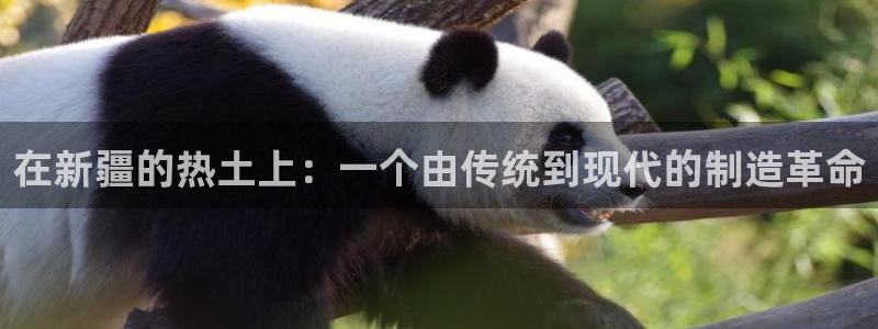 天辰娱乐平台地址