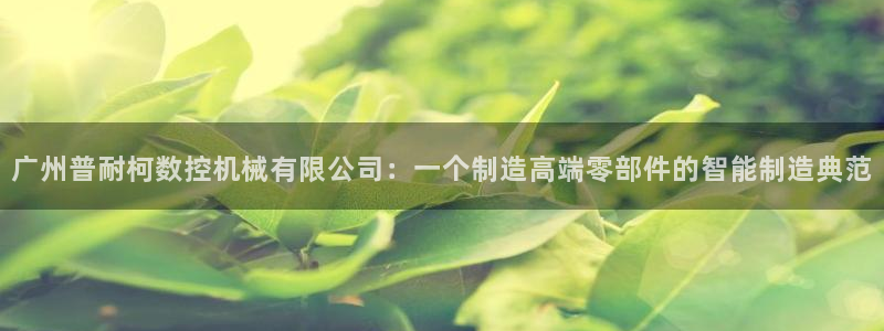 天辰娱乐小姐