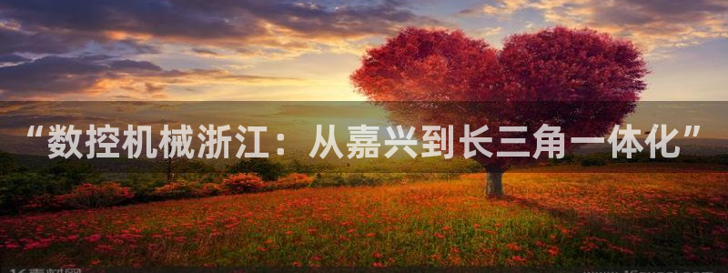 集宁天辰娱乐
