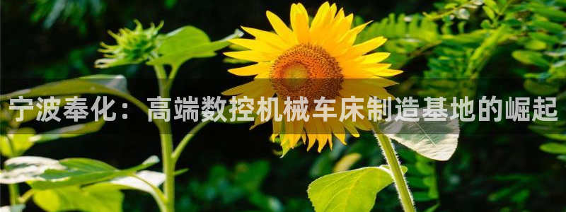 天辰娱乐线路