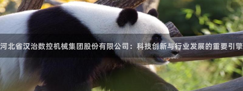 天辰娱乐平台测速