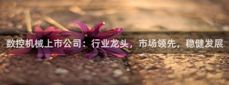 天辰娱乐小姐