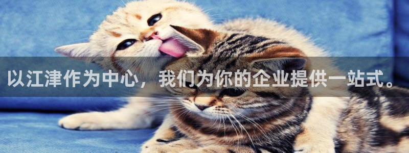 天辰娱乐平台app下载
