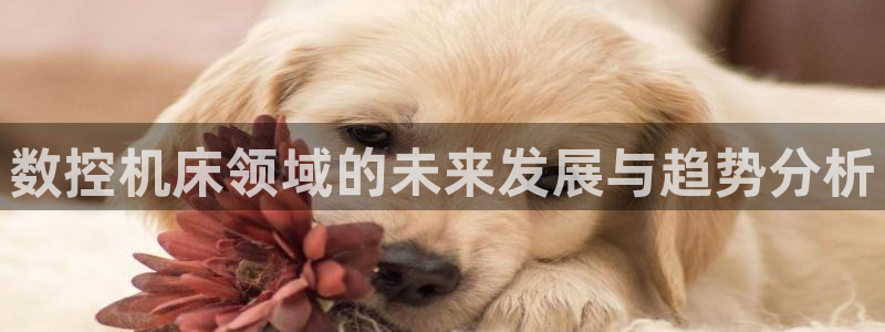 天辰娱乐代理