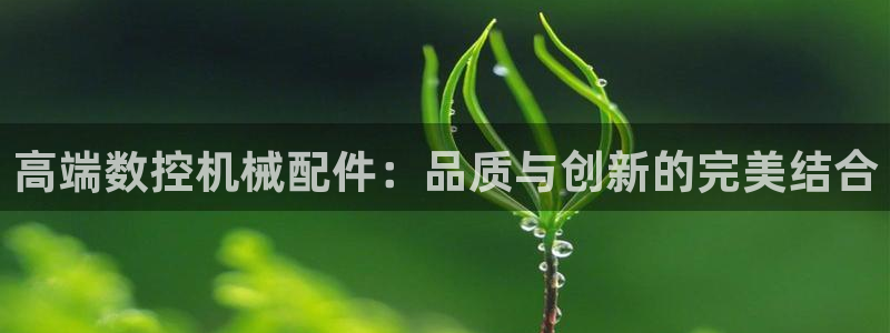 天辰娱乐股东