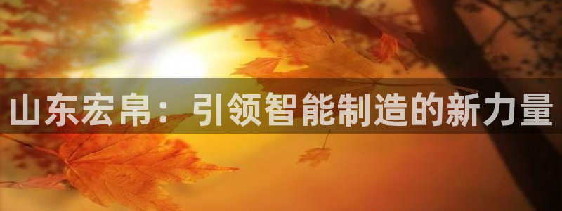 菲律宾天辰娱乐：山东宏帛：引领智能制造的新力量