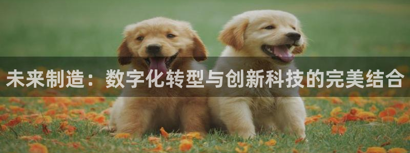 天辰娱乐公司