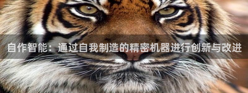 天辰娱乐登录