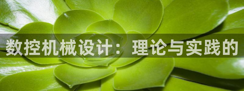 天辰娱乐电话