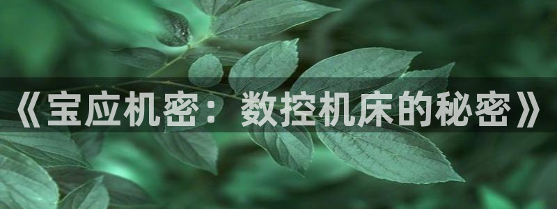 徐州天辰娱乐