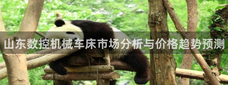 天辰宝宝娱乐