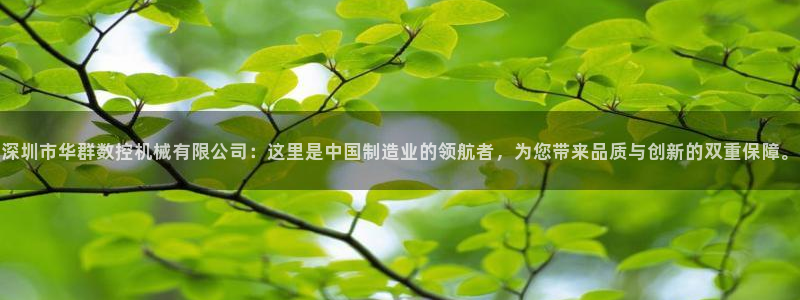 天辰娱乐新