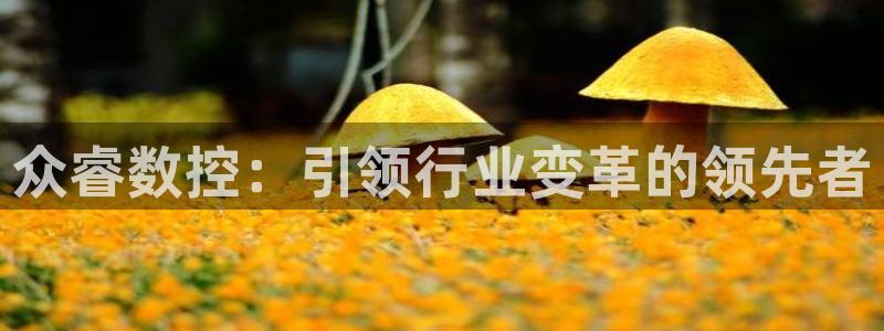 nba天辰娱乐