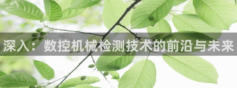 天富娱乐与天辰娱乐