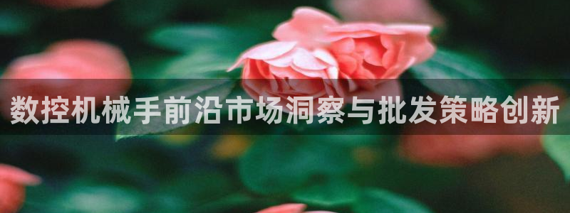 天辰娱乐53551