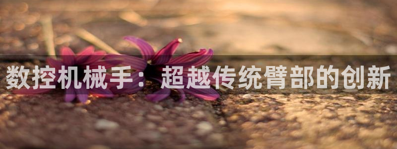 天辰娱乐股东