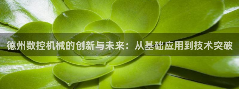 天辰娱乐app