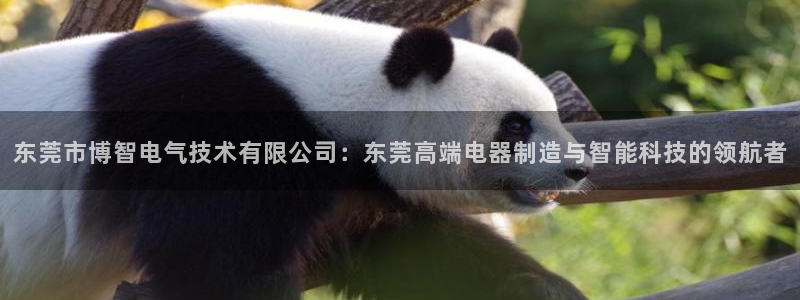 天辰娱乐 注册
