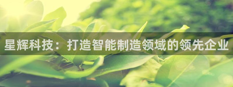 天辰娱乐黑人