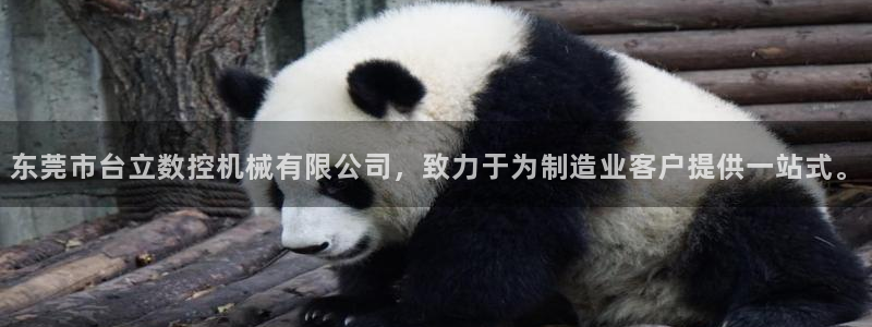 天辰娱乐39974神