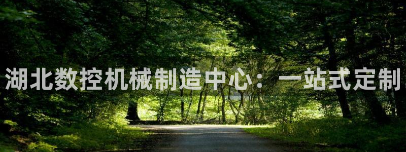 天辰娱乐股东