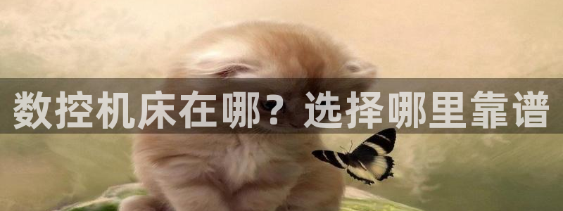 天辰娱乐在线