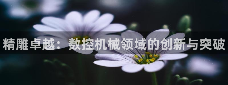 天辰娱乐主管