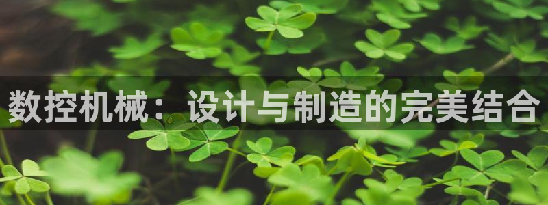 天辰娱乐总管