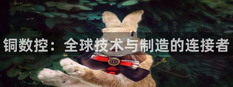 天辰娱乐连接